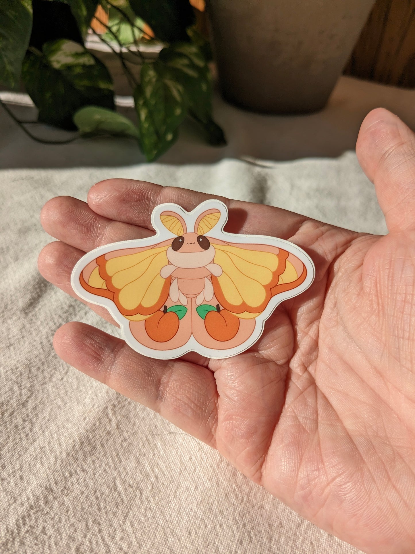 Peachy Moth | Sticker