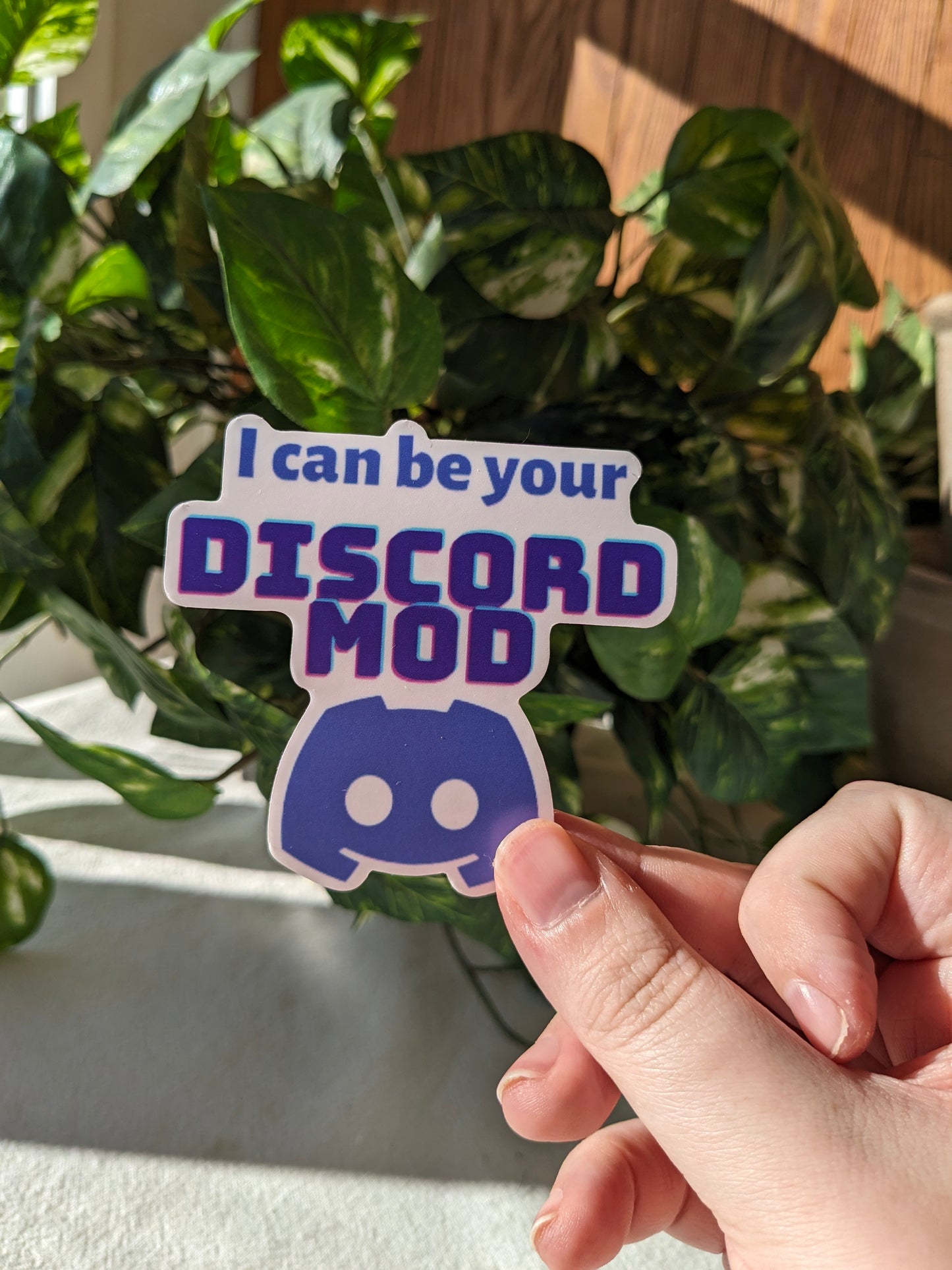 Discord Mod and Kitten Bundle | Stickers