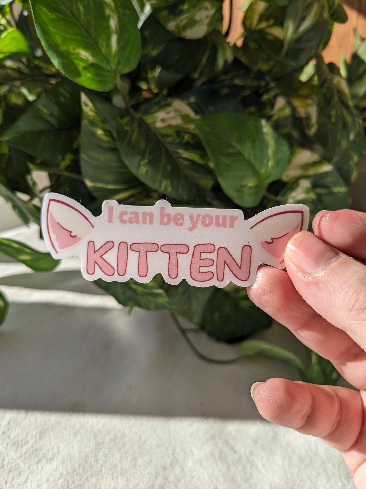 Discord Mod and Kitten Bundle | Stickers