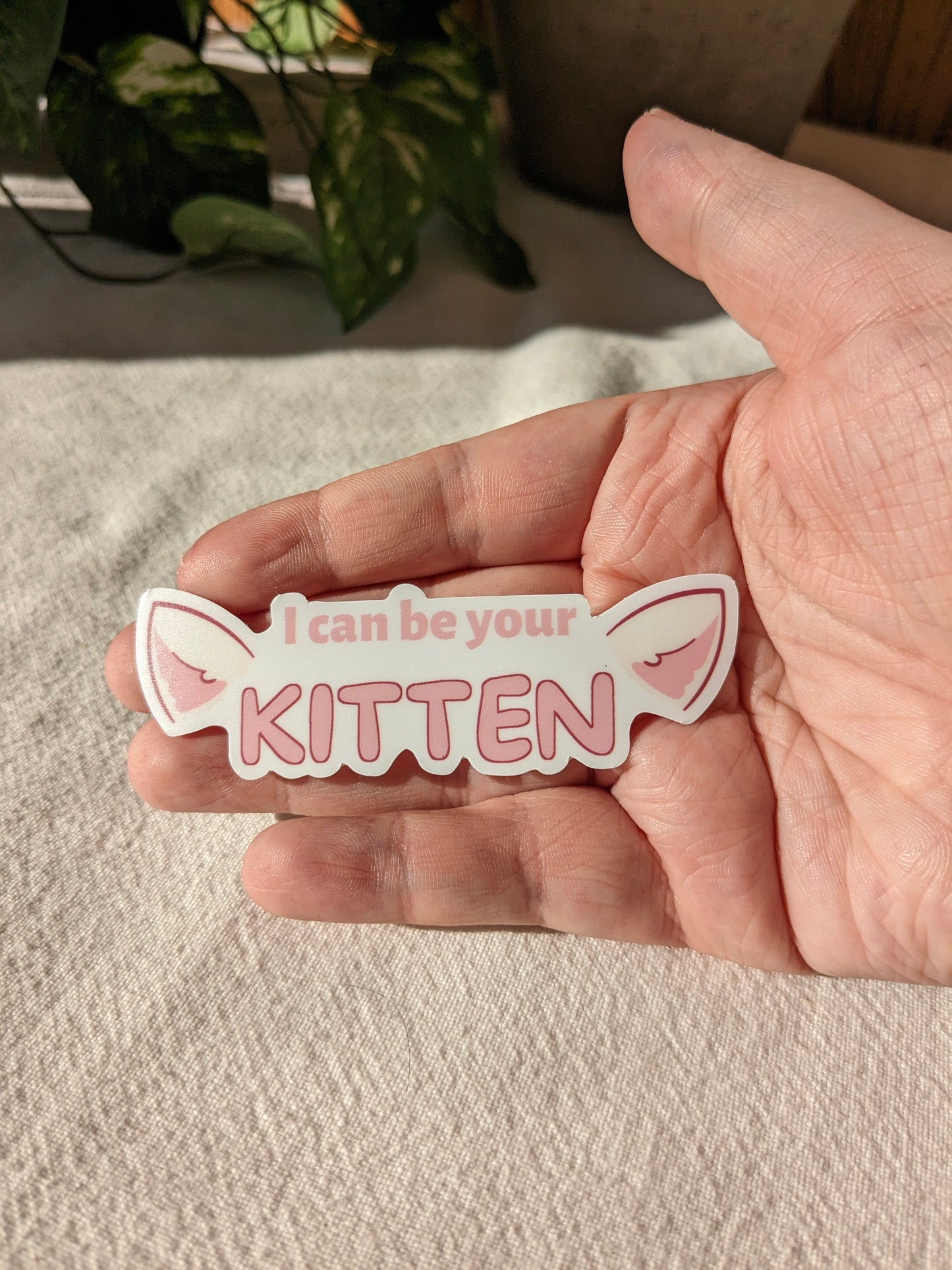 Discord Kitten | Sticker