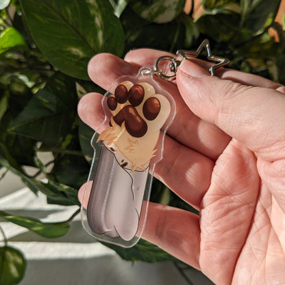 Bean Pawritto Acrylic Charm