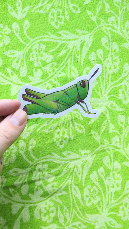 Grasshopper Glitter Holo 3 Inch Vinyl Sticker