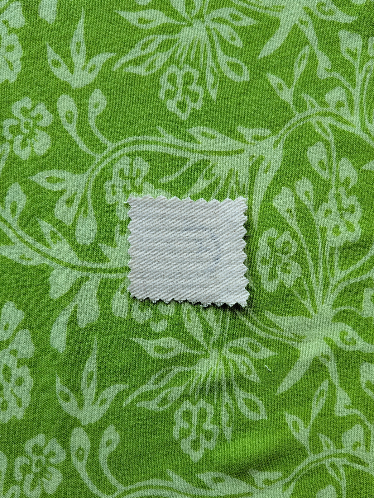 Fossil Linocut Patch