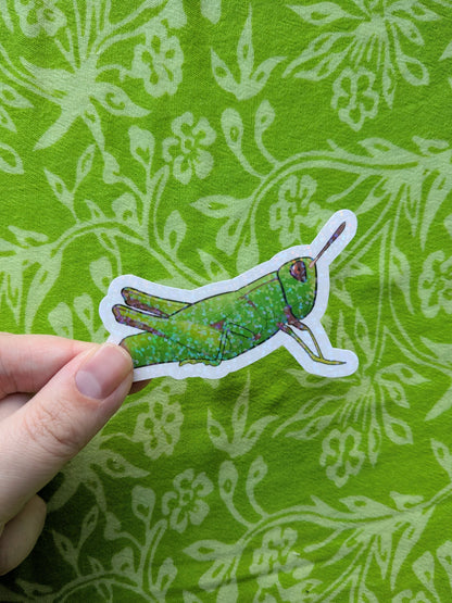 Grasshopper Glitter Holo 3 Inch Vinyl Sticker